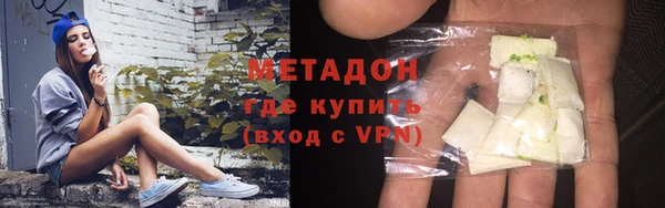 индика Гусев