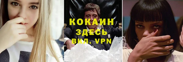 мдпв Дмитровск