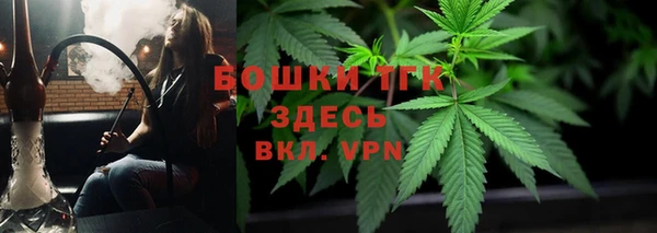 мдпв Дмитровск