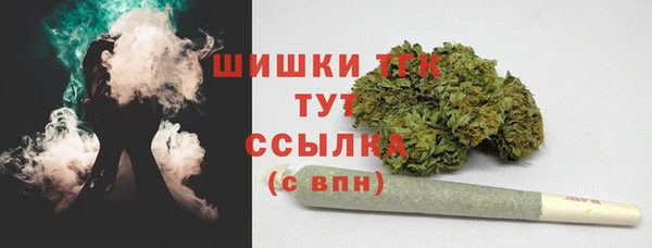 эйфоретик Дмитров