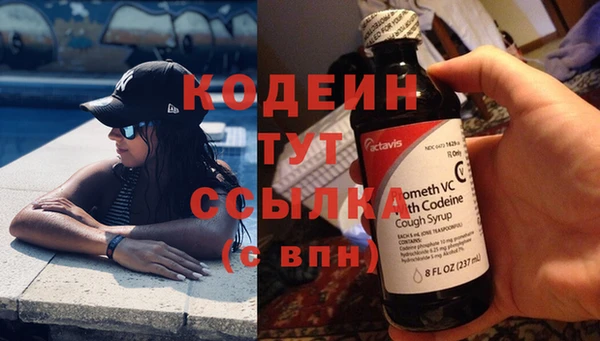 индика Гусев
