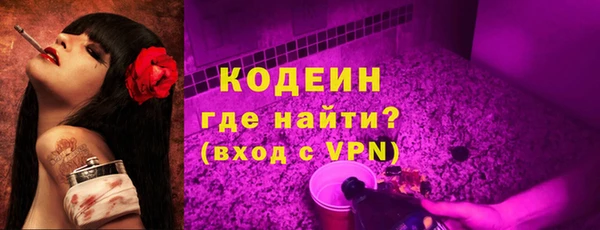 прущие грибы Гусь-Хрустальный