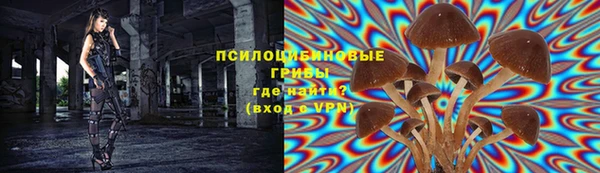 а пвп мука Дмитриев