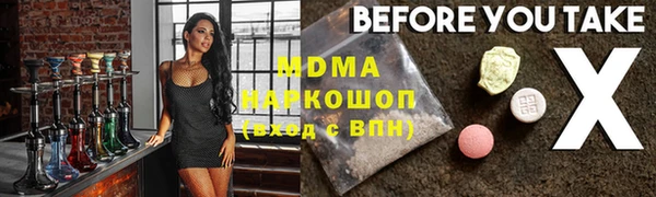 индика Гусев