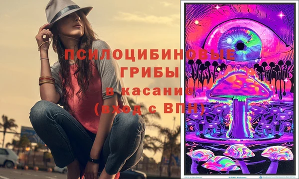 мдпв Дмитровск